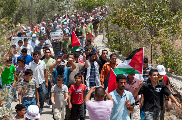 Weekly Protest March Against the" Wall" in the Palestinian Village of Bil’in 2010).
