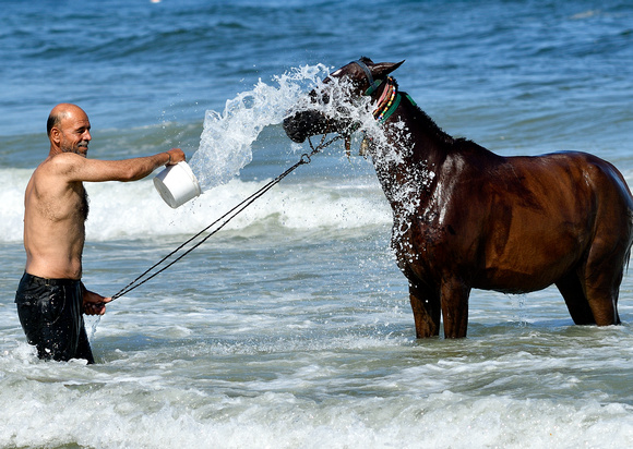 Bathing:  Giving the horse a bath in the sea, Gaza City (2017).