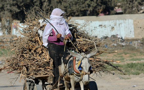 "Gathering Wood" (2014):  Surviving in the aftermath of the Israeli bombardment of Gaza in 2014.