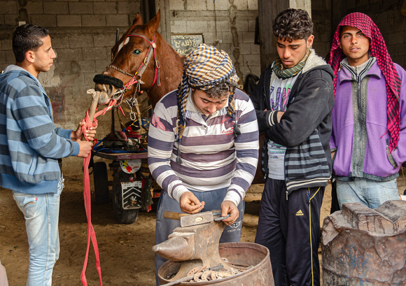 "Fitting Shoes" (2012):  Blacksmiths are common in Gaza for the large number of horses for hauling.