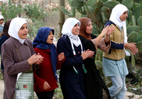 "Heroines" (2004):  High School Girls in Budrus leading protest march against the Wall.